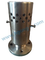 API/DIN stainless steel vacuum negative pressure safety valve